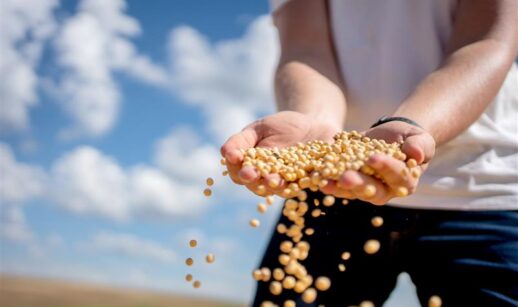 Impulsionado pela Agropecuária, PIB cresce 1,4% no 1º trimestre