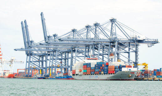 Projeções para os frigoríficos brasileiros diante do tarifaço de Trump