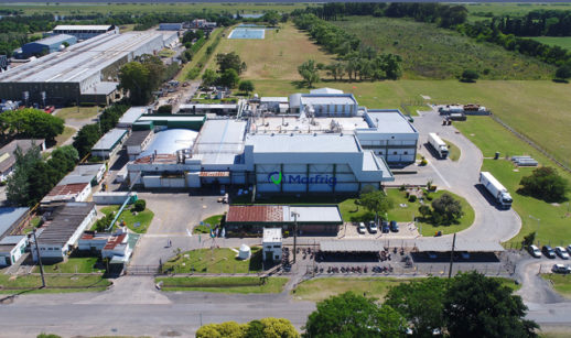 Fusão da BRF com a Marfrig prevê troca de ações e dividendos extraordinários